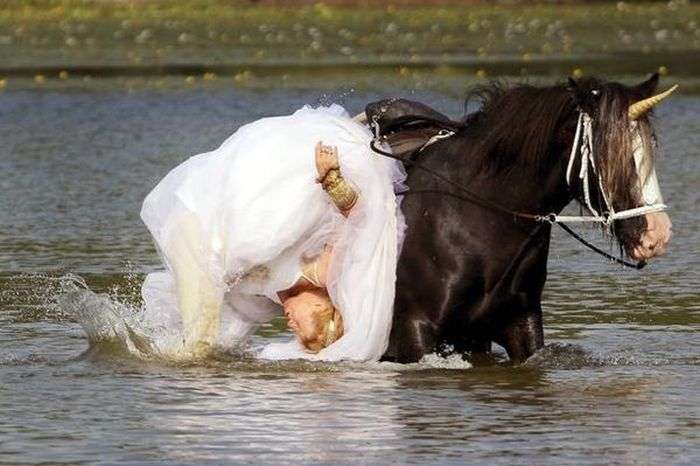 Лошадь испортила свадебную фотосессию