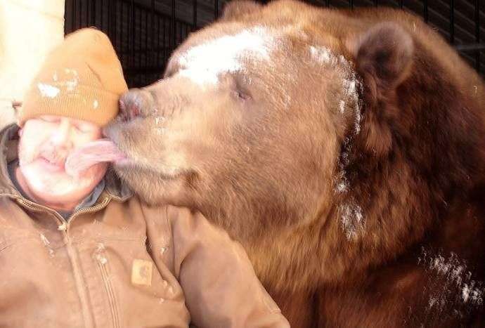 Многолетняя дружба с медведем