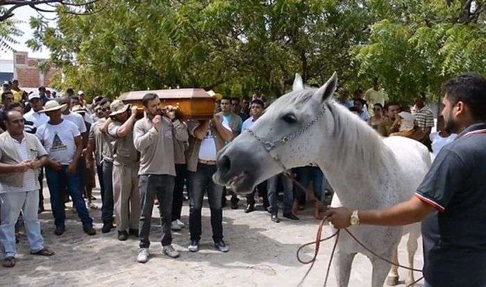 Прощание лошади со своим хозяином