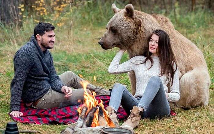Фотосессия с дружелюбным медведем в лесу