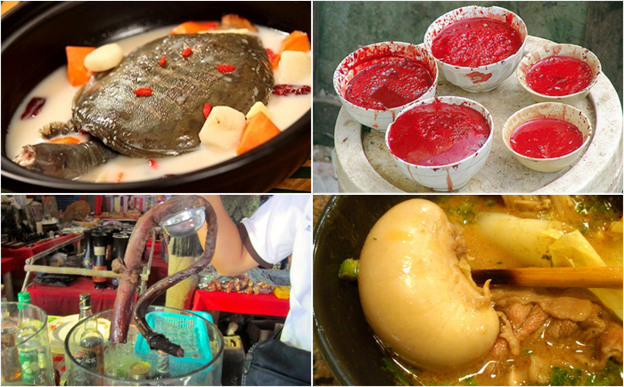 15 самых необычных супов в мире с нетрадиционными ингредиентами (15 фото)