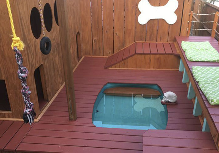 Американец построил для своих четырех собак площадку для отдыха с бассейном