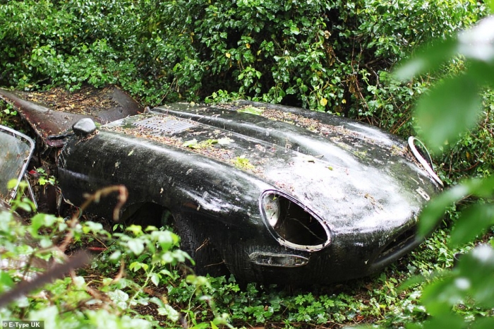 Возрождение винтажного Jaguar, который 30 лет гнил в зарослях