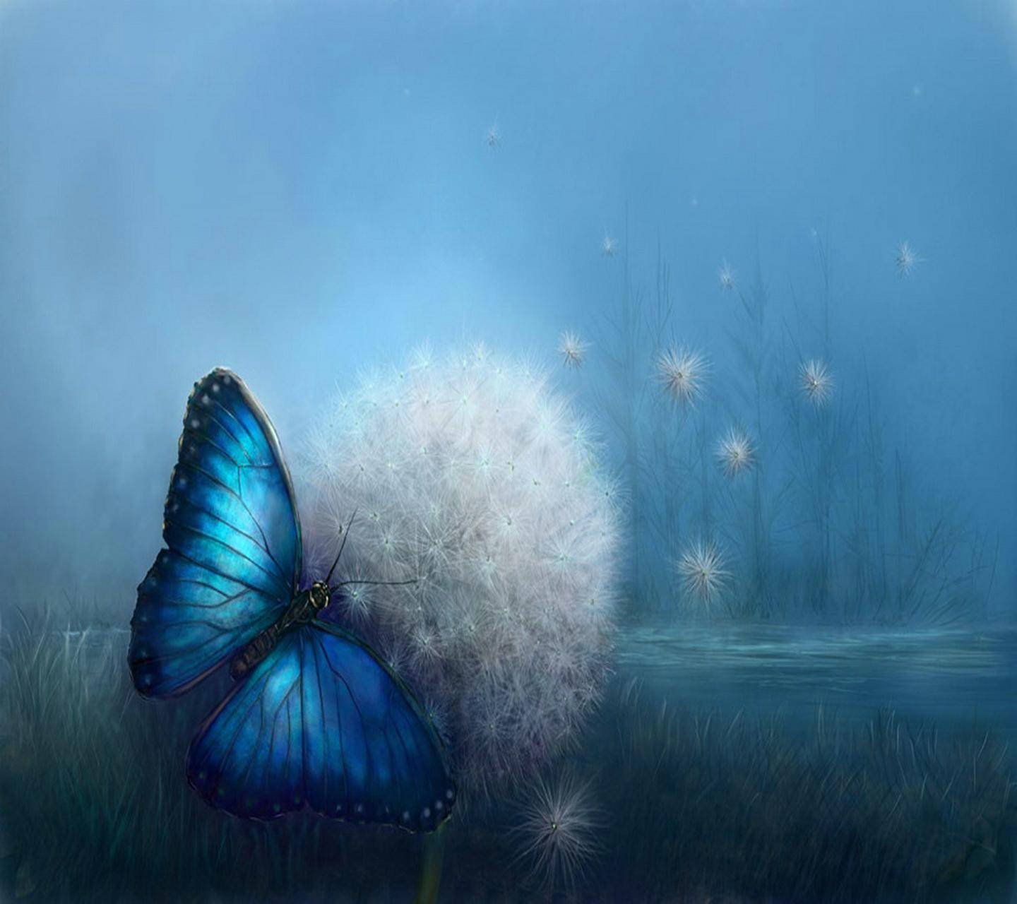 Синяя бабочка на одуванчике