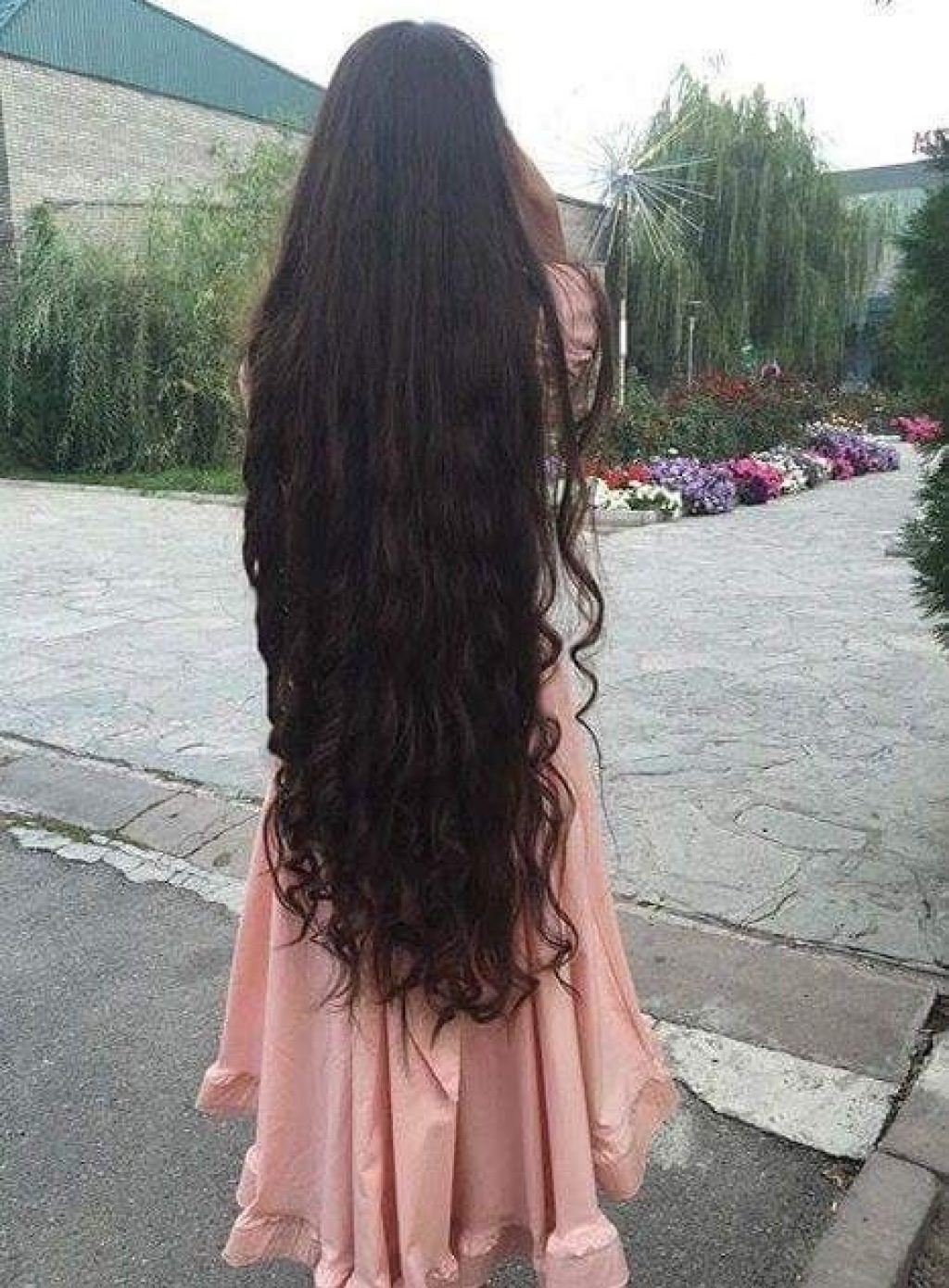 Фото длинных волос со спины брюнетки