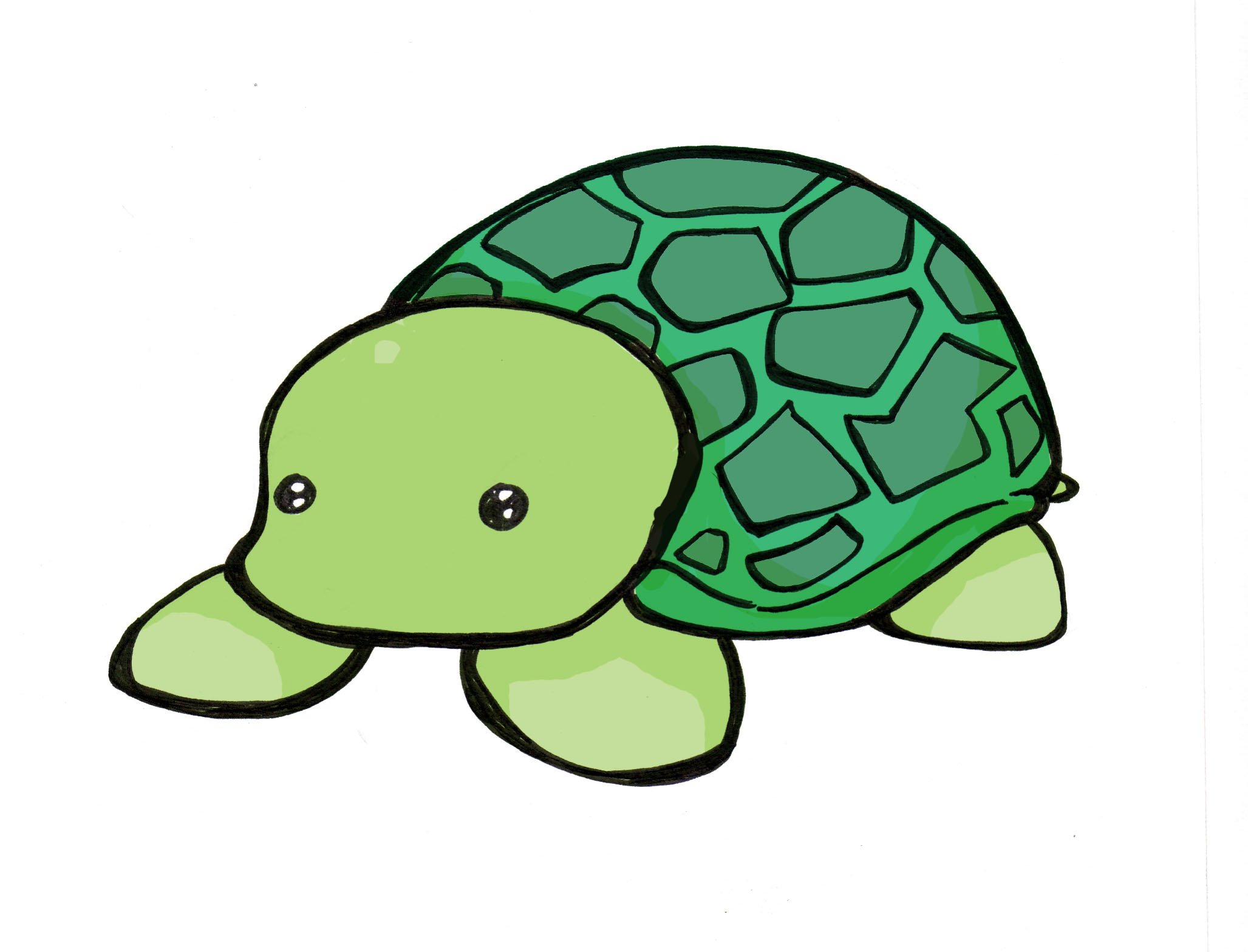 Turtle x. Черепаха рисунок. Рисунки для срисовки черепашка. Нарисовать черепашку. Нарисовать черепаху.