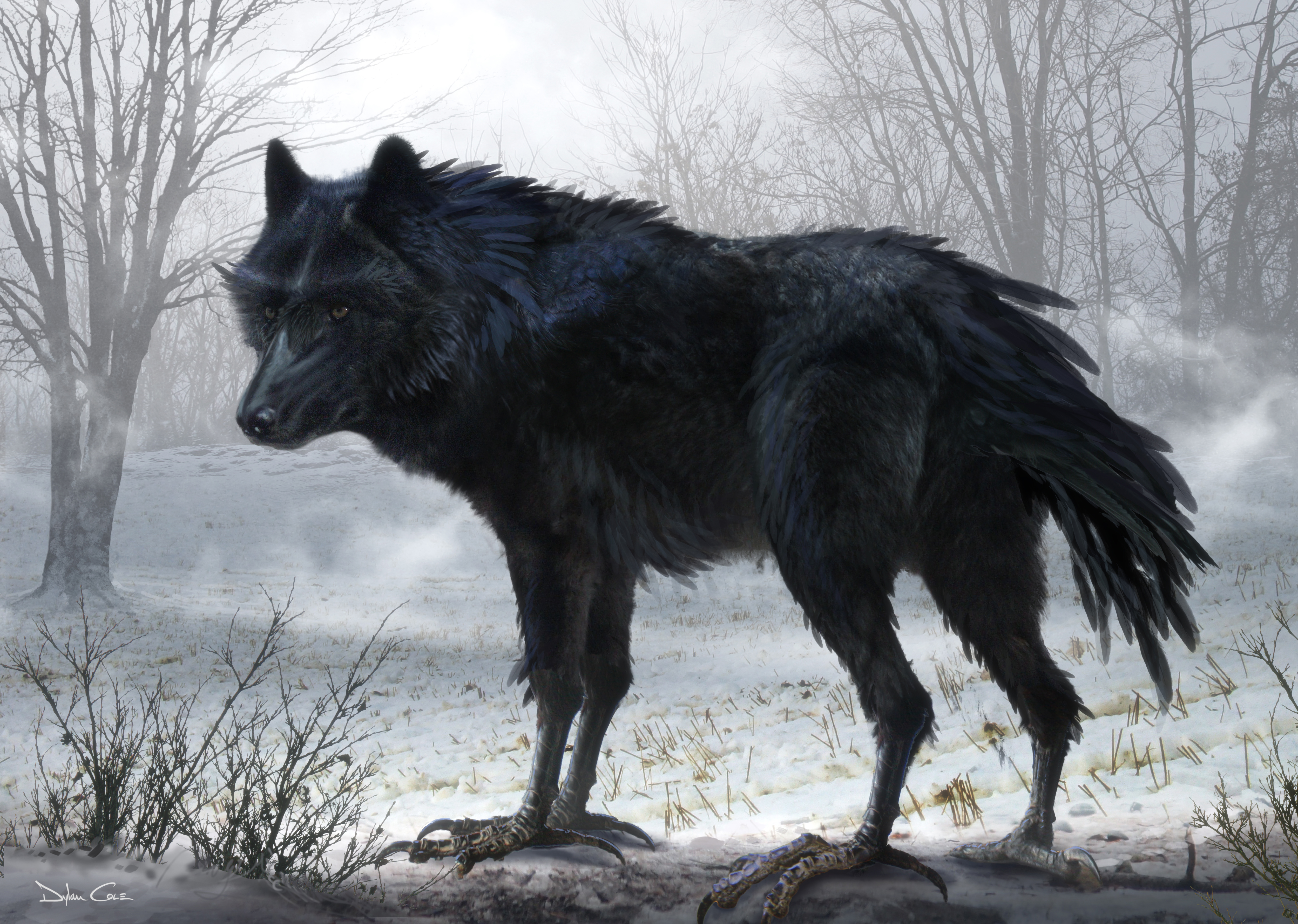 Бирюк зверь лютый. Черный Вольф Вольф человек волк. Диаваль волк. Варг волк арт. Черный лютоволк.
