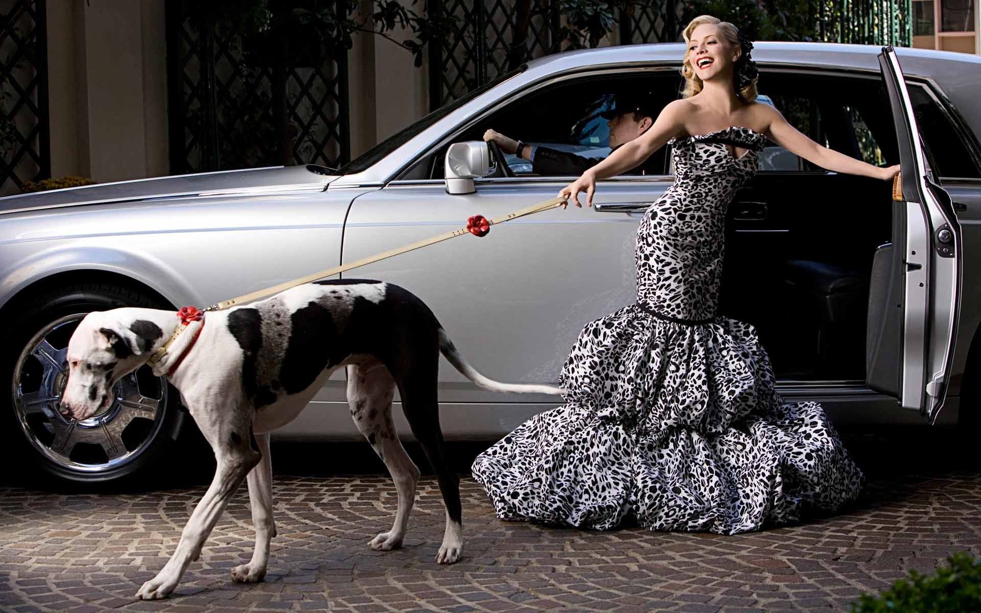 Woman 3 dog. Богатая женщина с собачкой. Богатая девушка. Богатые девушки с собачками. Девушка с собакой в машине.