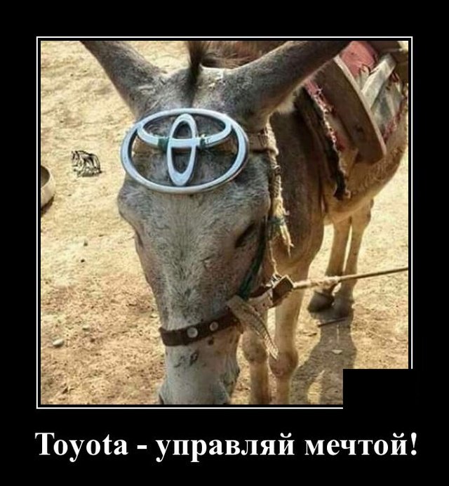 Управляй мечтой. Тойота Управляй мечтой прикол. Toyota Управляй мечтой реклама. Анекдот Тойота Управляй мечтой.