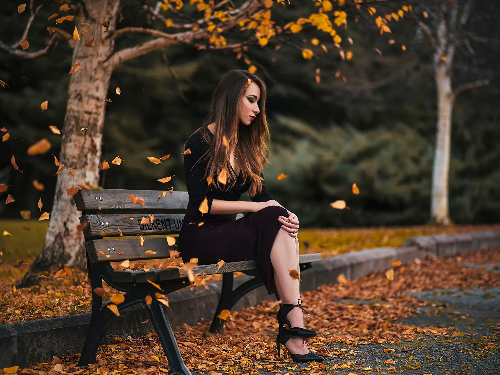 Красивые девушки в парке. Осенняя фотосессия. Девушка сидит на скамейке. Девушка в осеннем лесу. Фотосессия в парке.