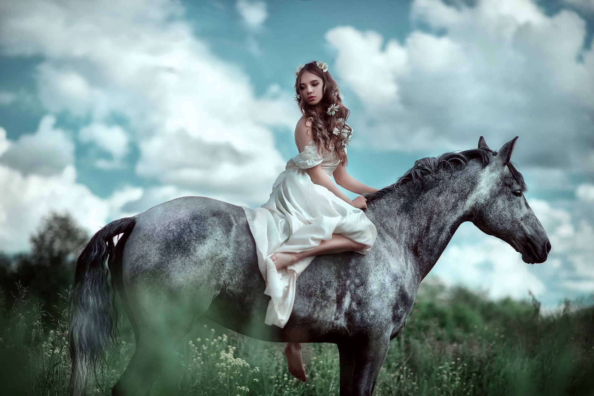 На сером коне. Фотосессия с лошадьми. Девушка на коне. Девушка с лошадью. Верхом на лошади.