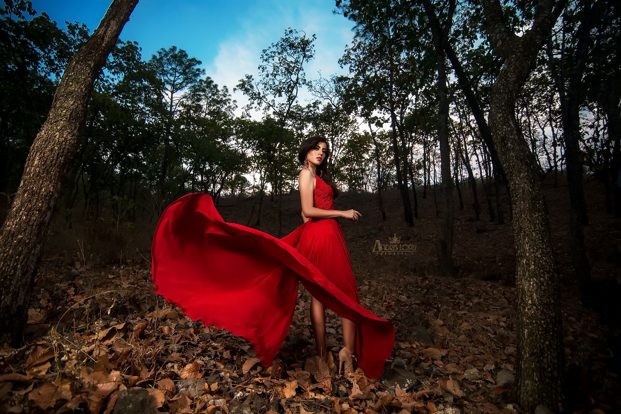 Девушка в красном платье в лесу