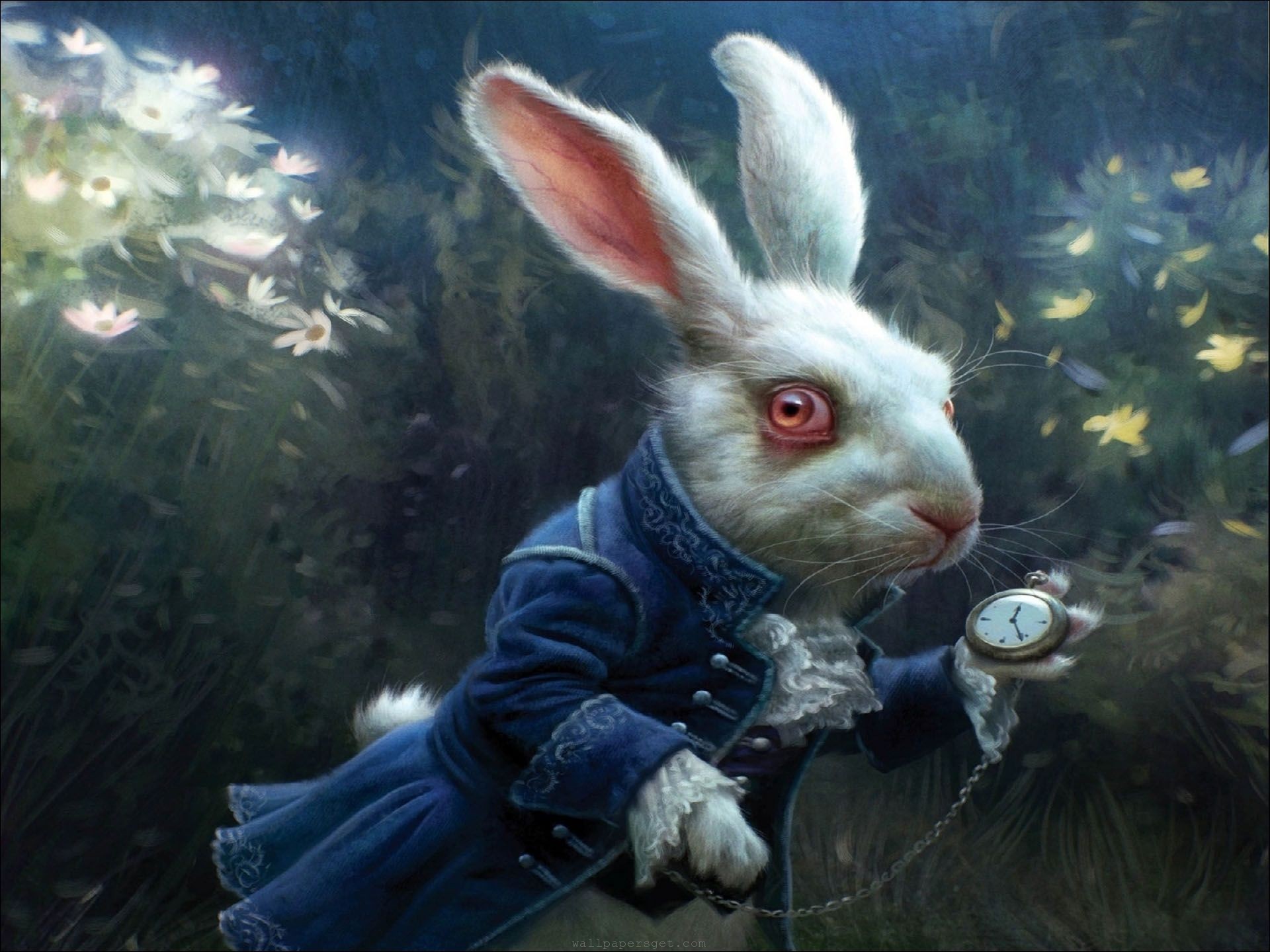 John rabbit