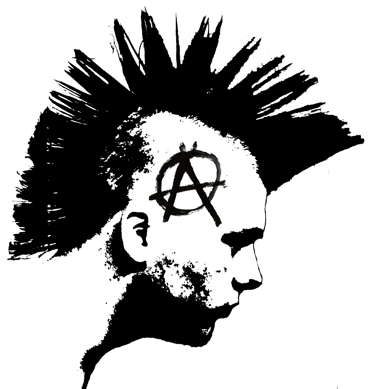 Панк анархизм