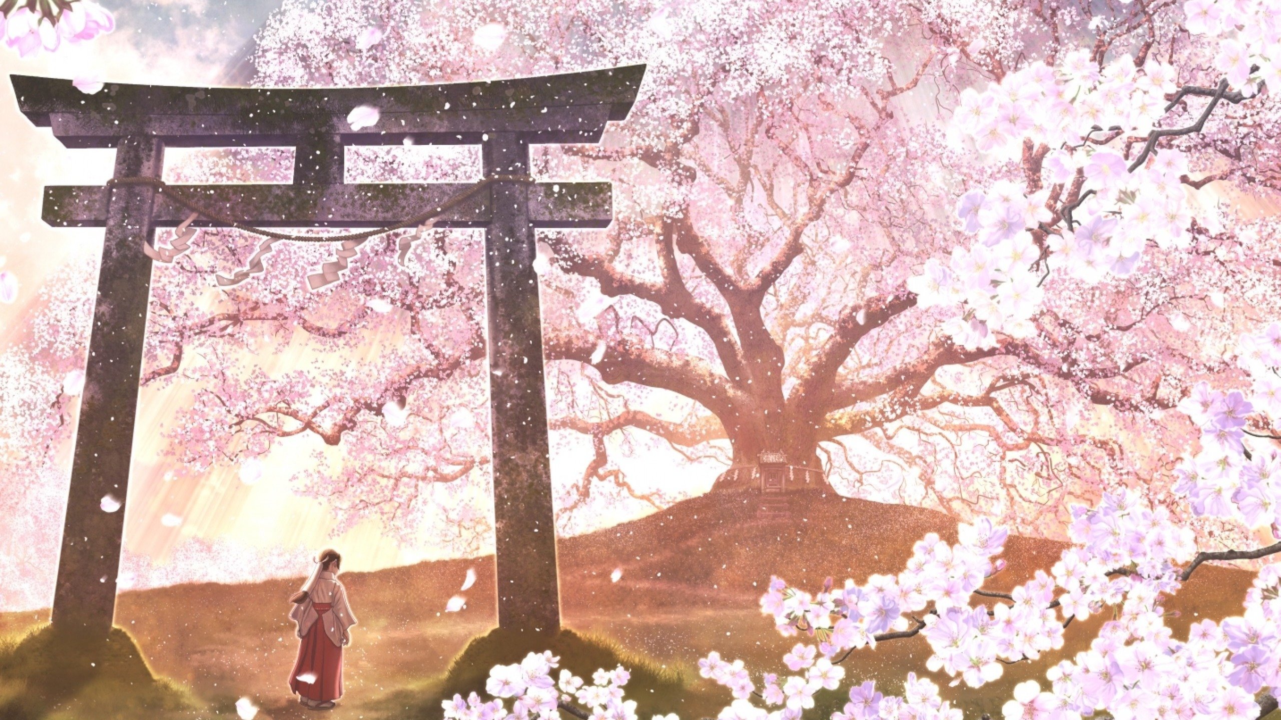 Japanese blossom. Япония врата тории пейзаж. Сакура черри блоссом дерево.