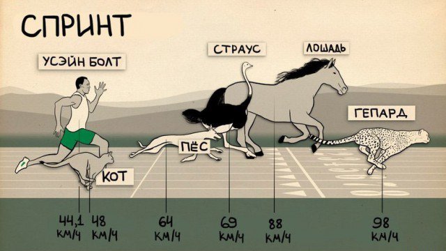 Сравнение скорости и силы человека с животными (4 фото)