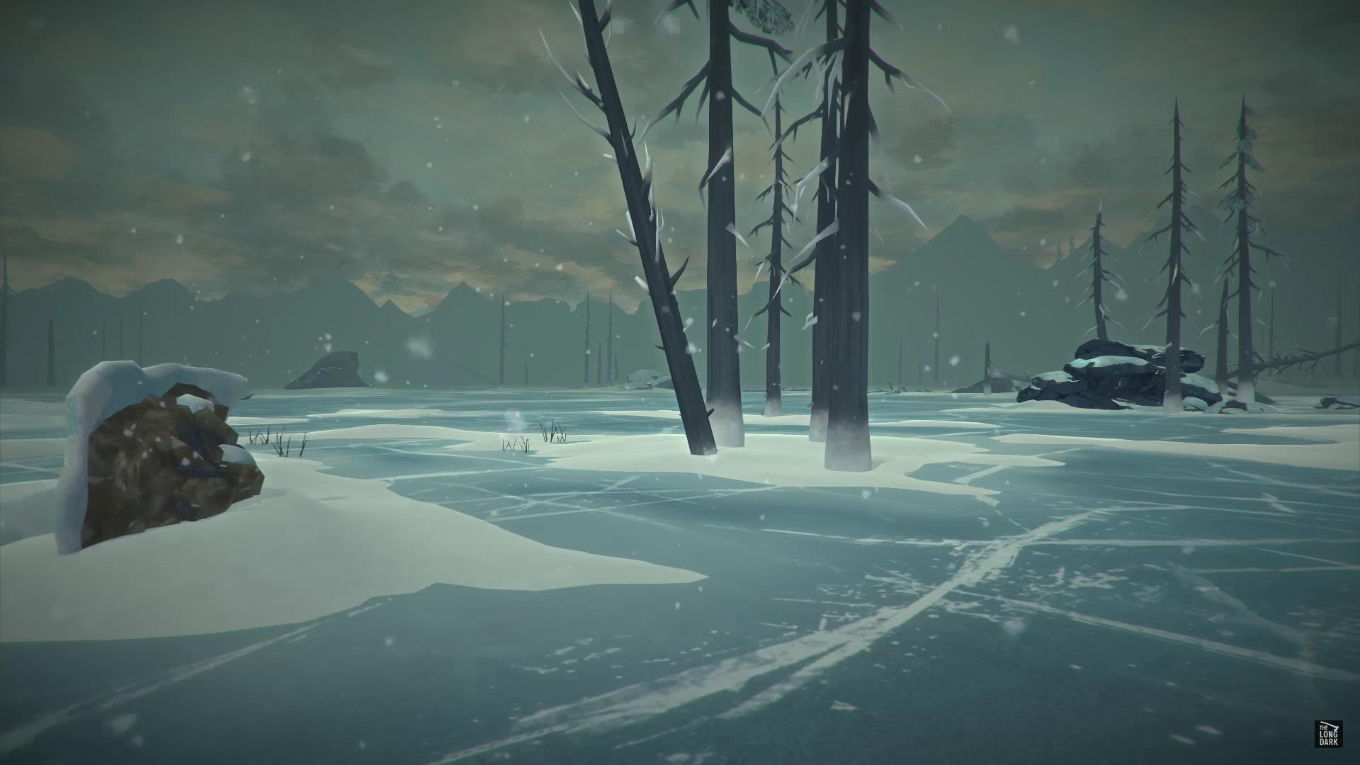 Полароидные фотографии the long dark