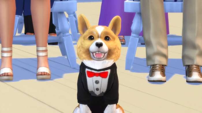 Игра The Sims 4 Кошки и собаки (20 фото)