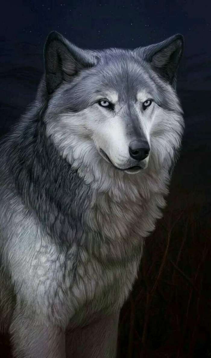 Волчица (43 фото)