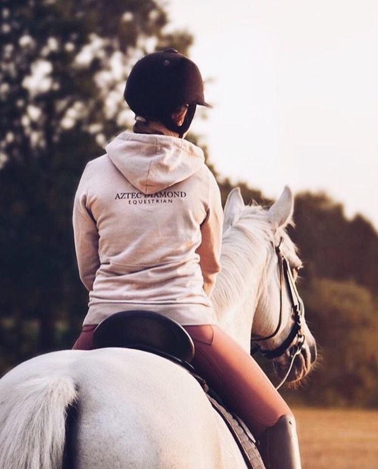 Подборка девушка сверху. Девушка на лошади со спины. Девушка на коне. Девушка с лошадью. Верхом на лошади.