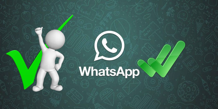 Новые и предстоящие функций WhatsApp, которые сделают общение лучше