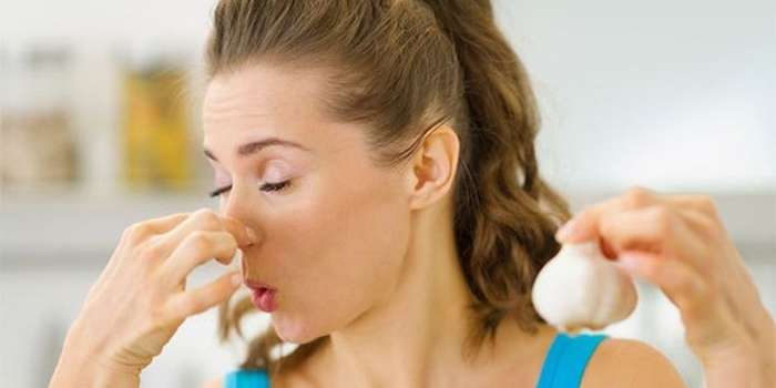 Названы два эффективных способа избавиться от запаха чеснока, не прибегая к чистке зубов