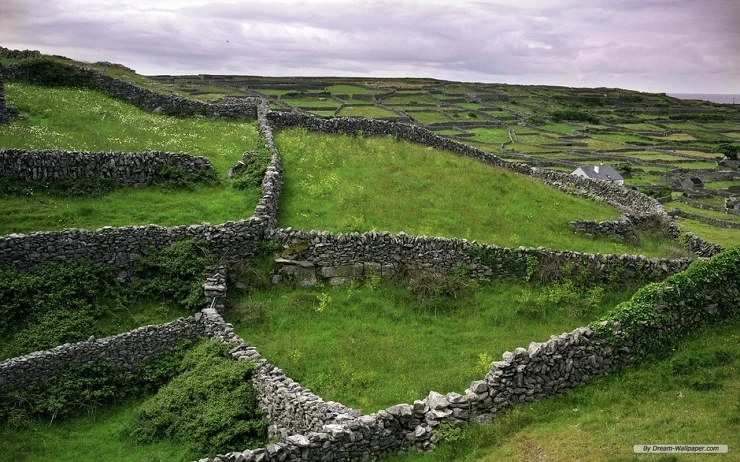 Каменные заборы Ирландии (21 фото)