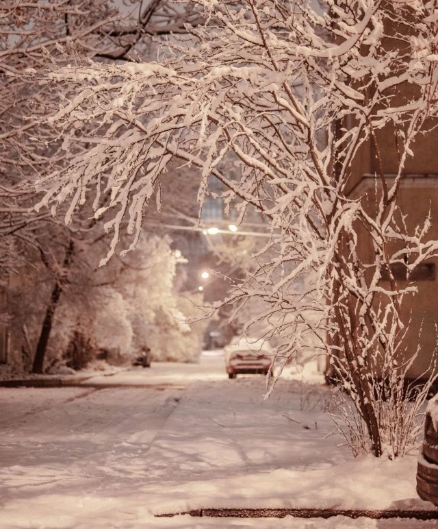 Снегопад в Санкт-Петербурге: 8 фото, создающих зимнее настроение