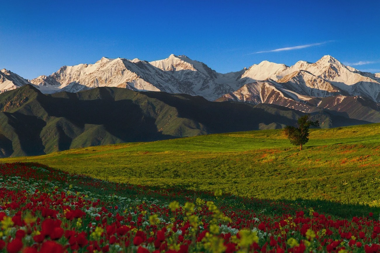 Киргизия. Киргизия горы Тянь-Шань. Бишкек горы Тянь Шань. Природа Киргизия Тянь-Шань. Хребет Терскей ала-ТОО.