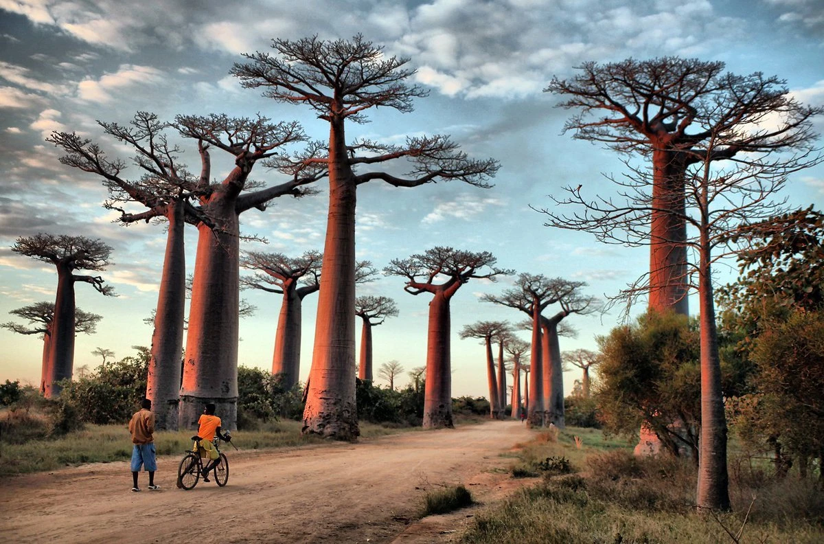 Республика Мадагаскар достопримечательности - 138 фото