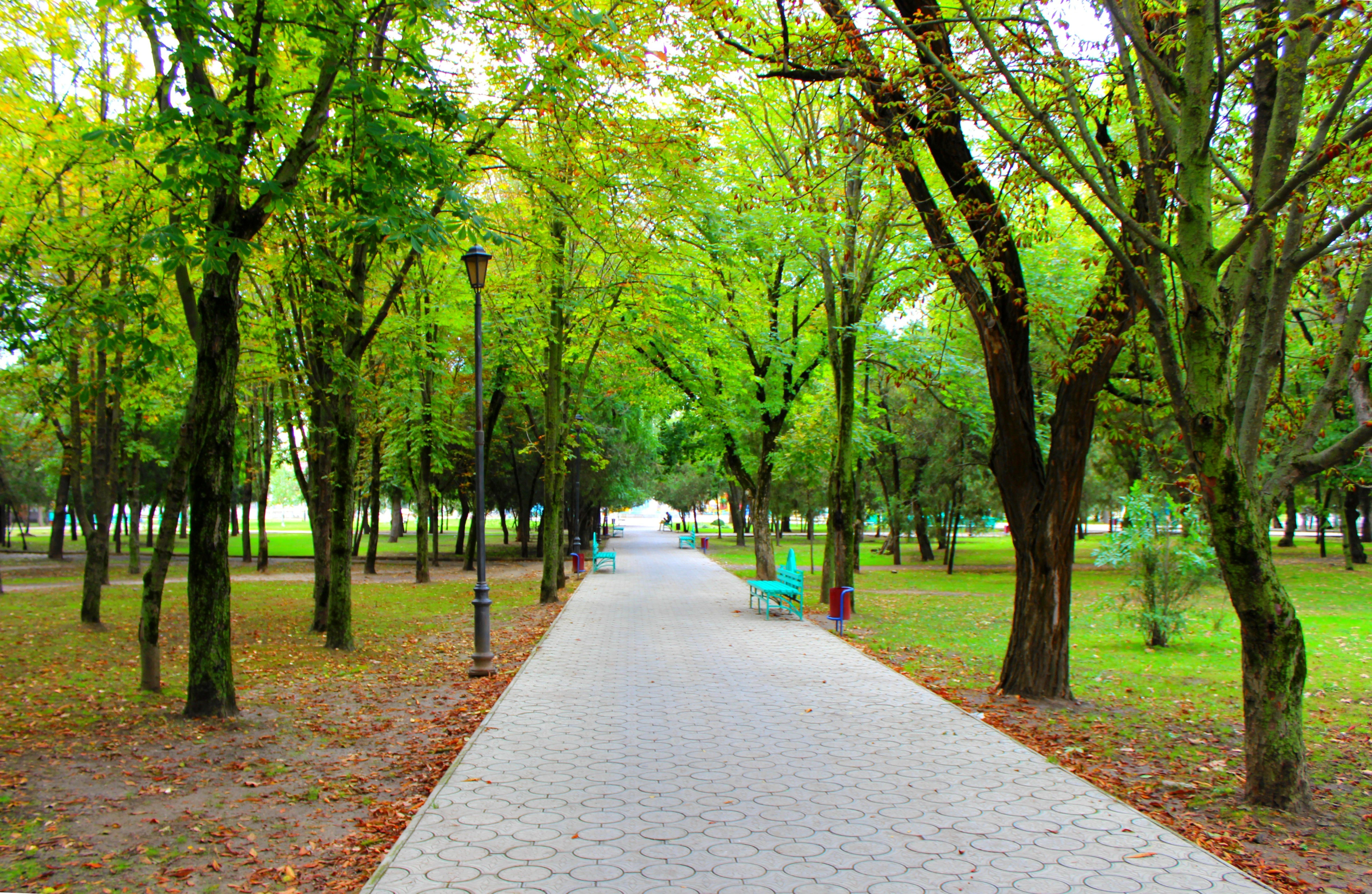 Лодки на аллеях парка монсон. Городской парк Темрюка. Армавир парк. Парк Пушкина Темрюк. Парк город Темрюк.